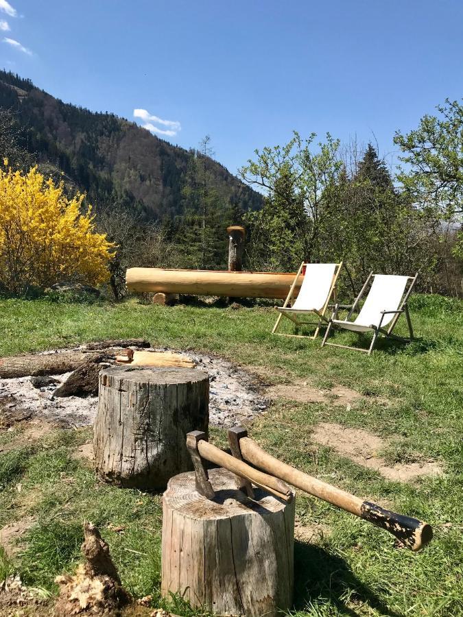 Charmante Gaestewohnung In Altem Bauernhaus In Alpiner Alleinlage Stanz Im Murztal Екстер'єр фото