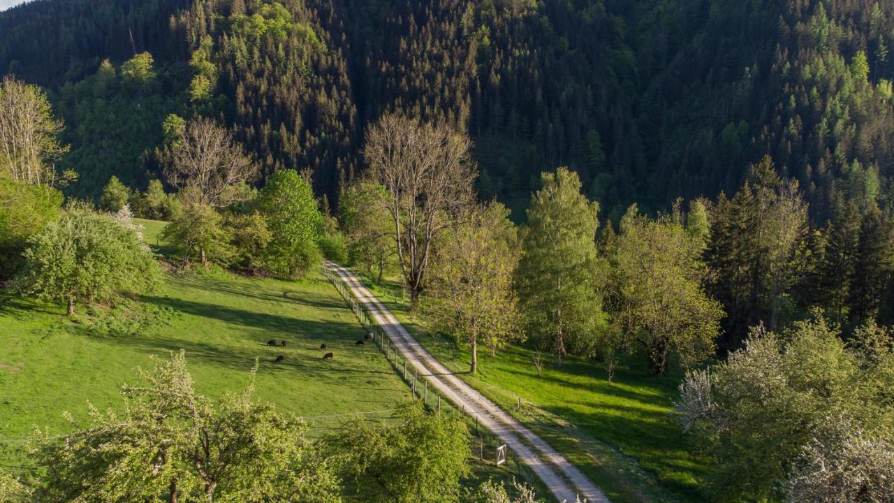 Charmante Gaestewohnung In Altem Bauernhaus In Alpiner Alleinlage Stanz Im Murztal Екстер'єр фото