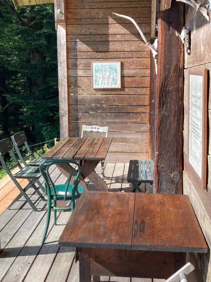 Charmante Gaestewohnung In Altem Bauernhaus In Alpiner Alleinlage Stanz Im Murztal Екстер'єр фото