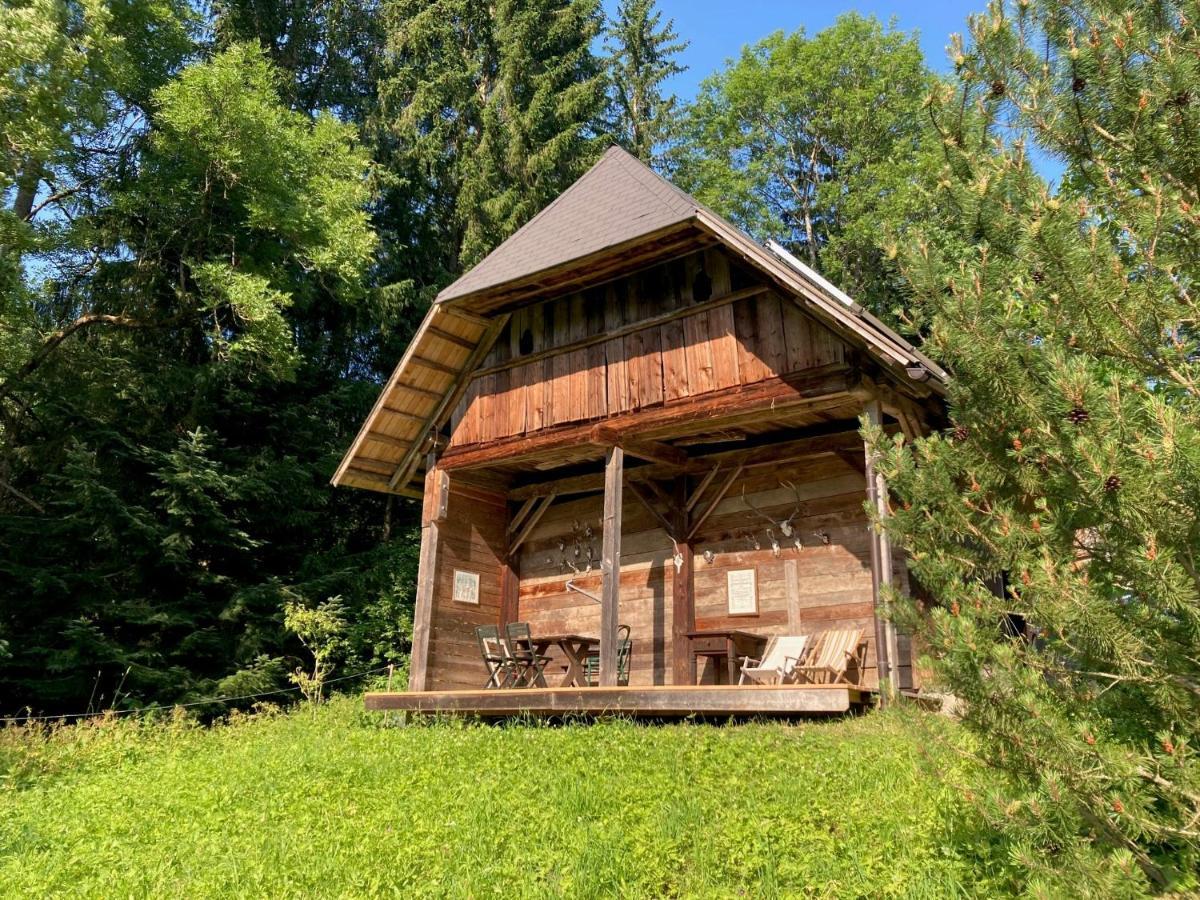Charmante Gaestewohnung In Altem Bauernhaus In Alpiner Alleinlage Stanz Im Murztal Екстер'єр фото