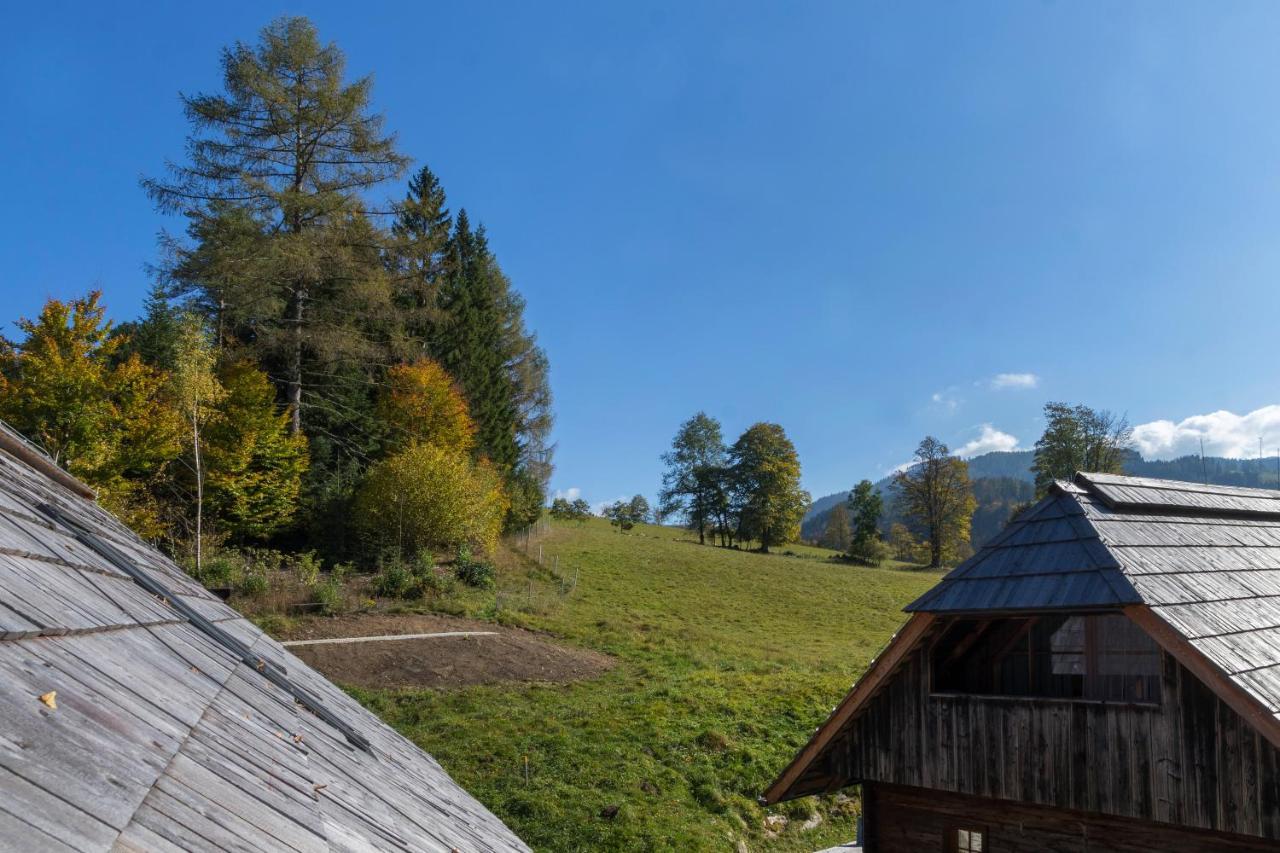 Charmante Gaestewohnung In Altem Bauernhaus In Alpiner Alleinlage Stanz Im Murztal Екстер'єр фото